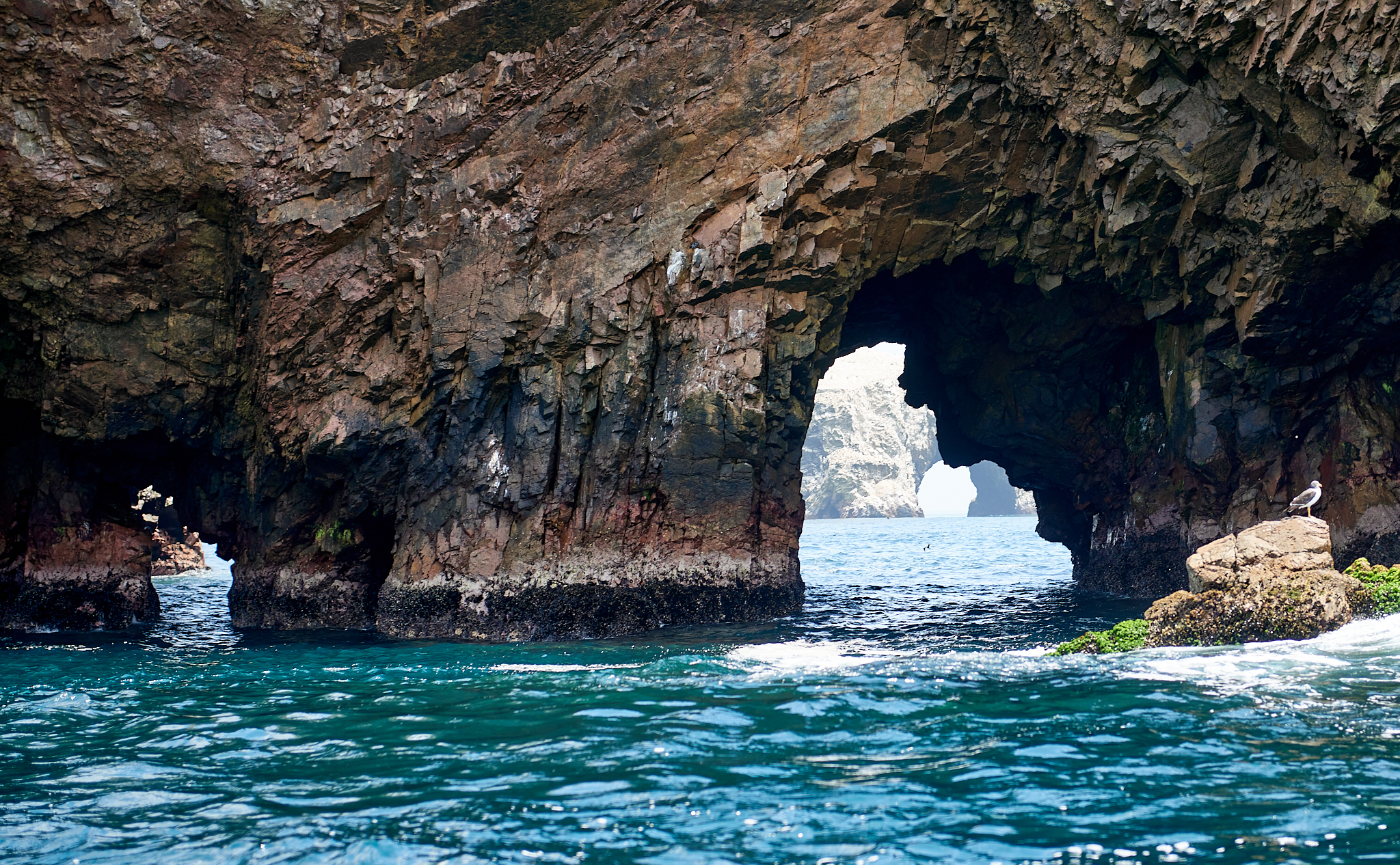 20200304 136 [페루] 바예스타섬